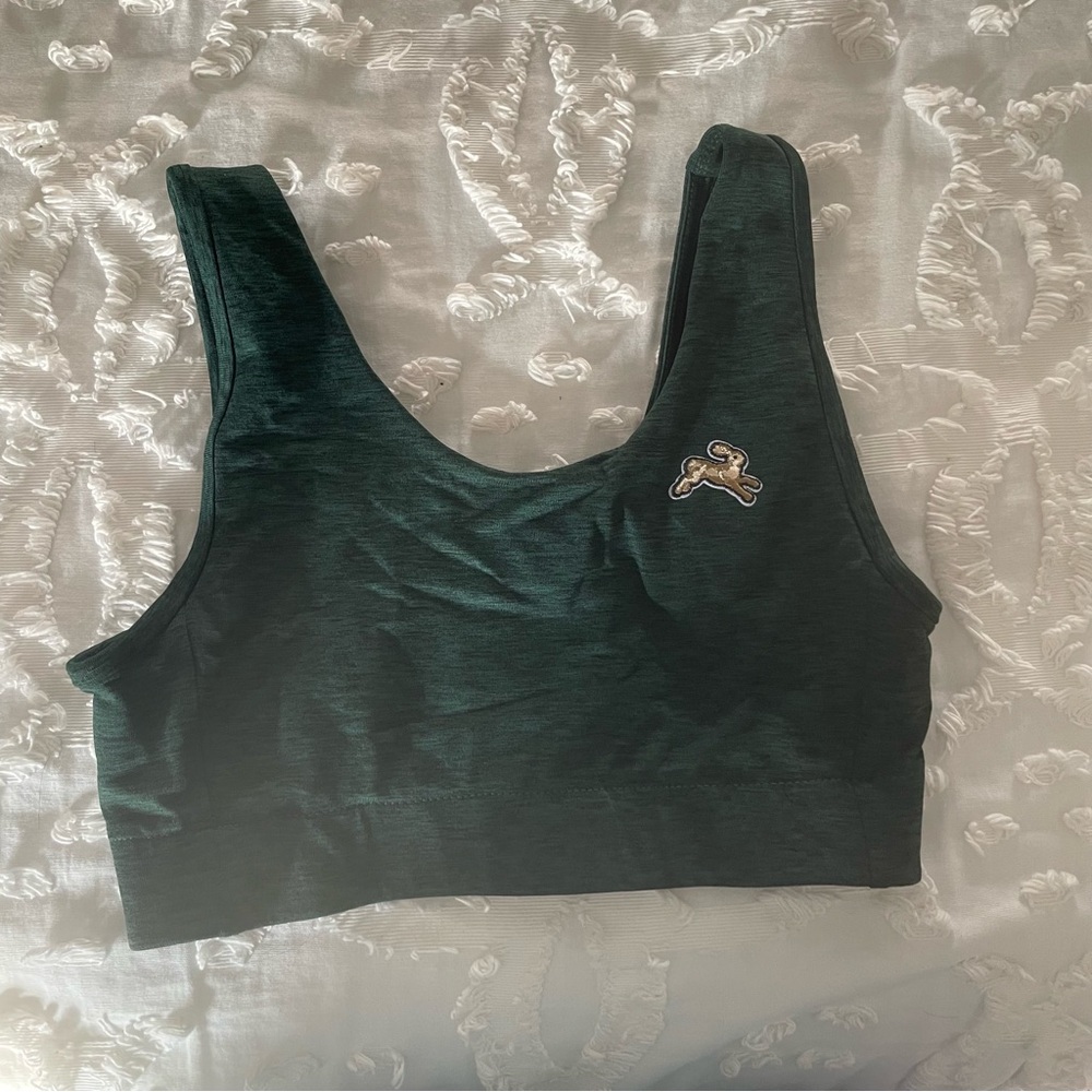 Tracksmith Forest Green Sports Bra